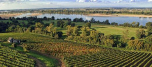 Saut en parachute Centre-Val de Loire